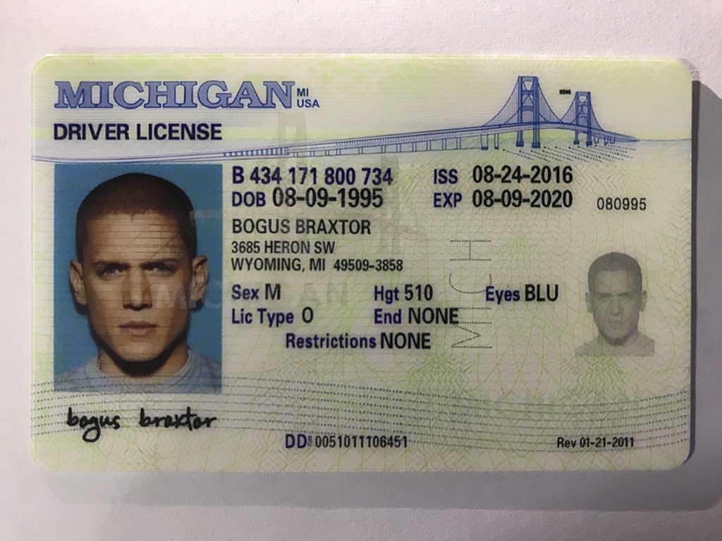 fake driver license template ny